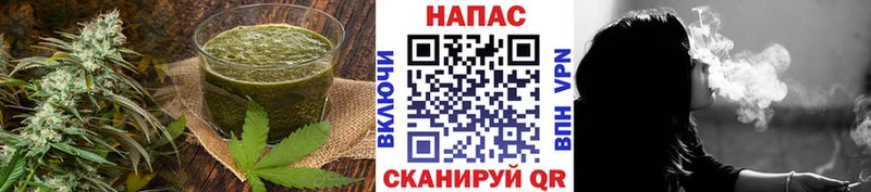 Canna-Cookies конопля Шумиха